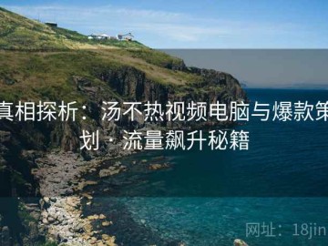 真相探析：汤不热视频电脑与爆款策划 · 流量飙升秘籍