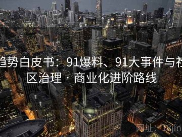 趋势白皮书：91爆料、91大事件与社区治理 · 商业化进阶路线