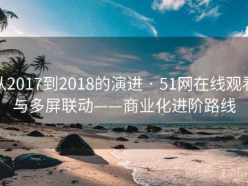 从2017到2018的演进 · 51网在线观看与多屏联动——商业化进阶路线