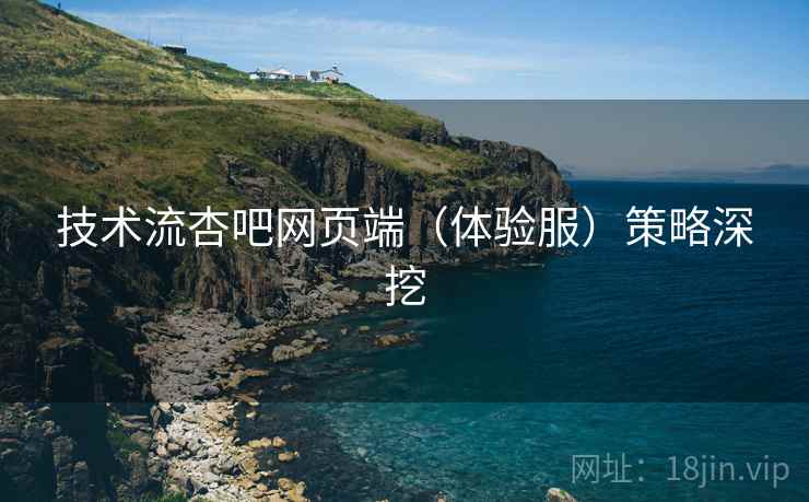 技术流杏吧网页端（体验服）策略深挖