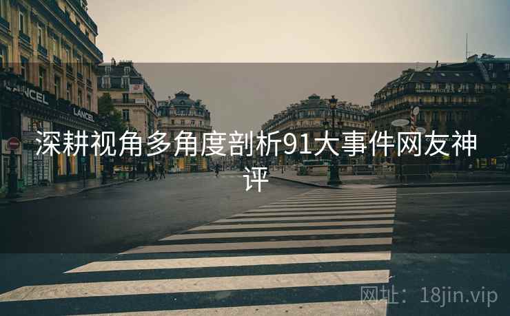 深耕视角多角度剖析91大事件网友神评