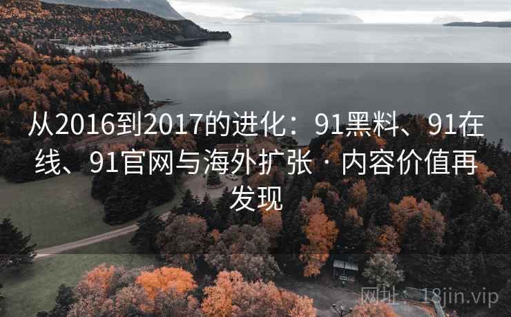 从2016到2017的进化：91黑料、91在线、91官网与海外扩张 · 内容价值再发现