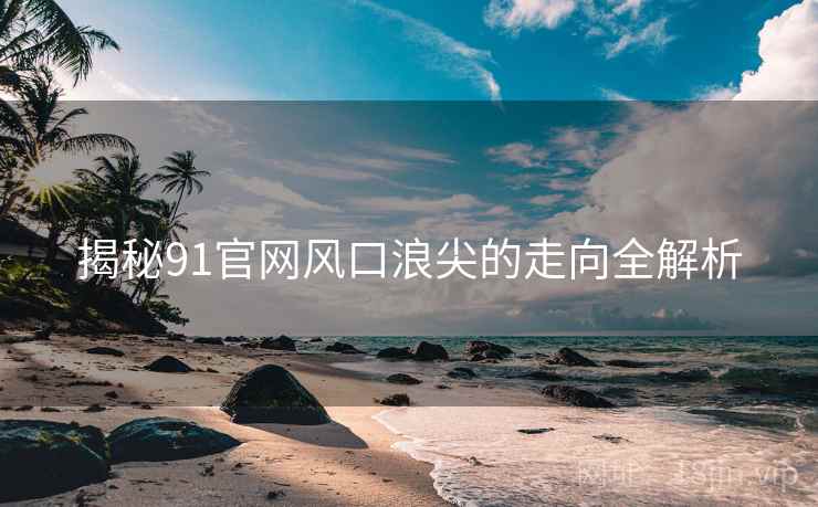 揭秘91官网风口浪尖的走向全解析