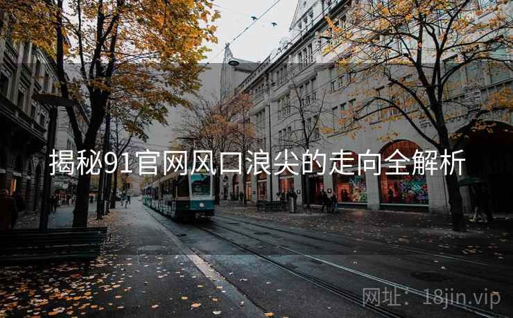 揭秘91官网风口浪尖的走向全解析