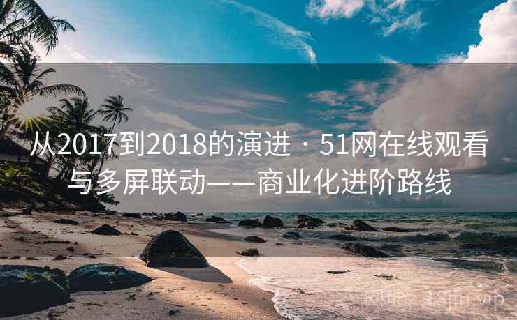 从2017到2018的演进 · 51网在线观看与多屏联动——商业化进阶路线