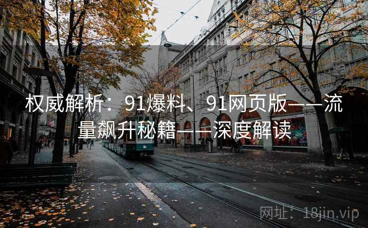 权威解析：91爆料、91网页版——流量飙升秘籍——深度解读