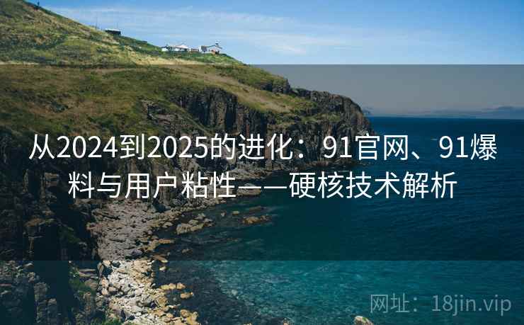 从2024到2025的进化：91官网、91爆料与用户粘性——硬核技术解析