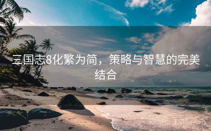 三国志8化繁为简，策略与智慧的完美结合