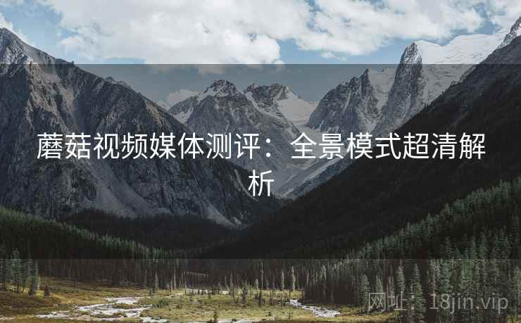 蘑菇视频媒体测评：全景模式超清解析