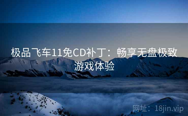 极品飞车11免CD补丁：畅享无盘极致游戏体验