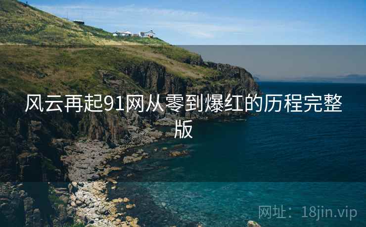风云再起91网从零到爆红的历程完整版