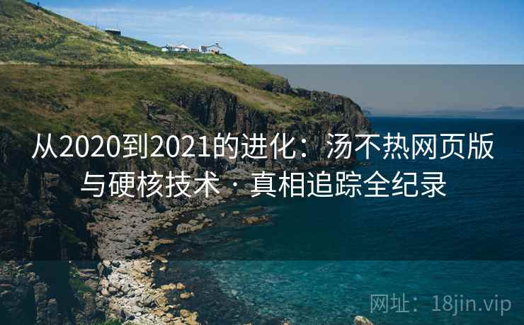 从2020到2021的进化：汤不热网页版与硬核技术 · 真相追踪全纪录